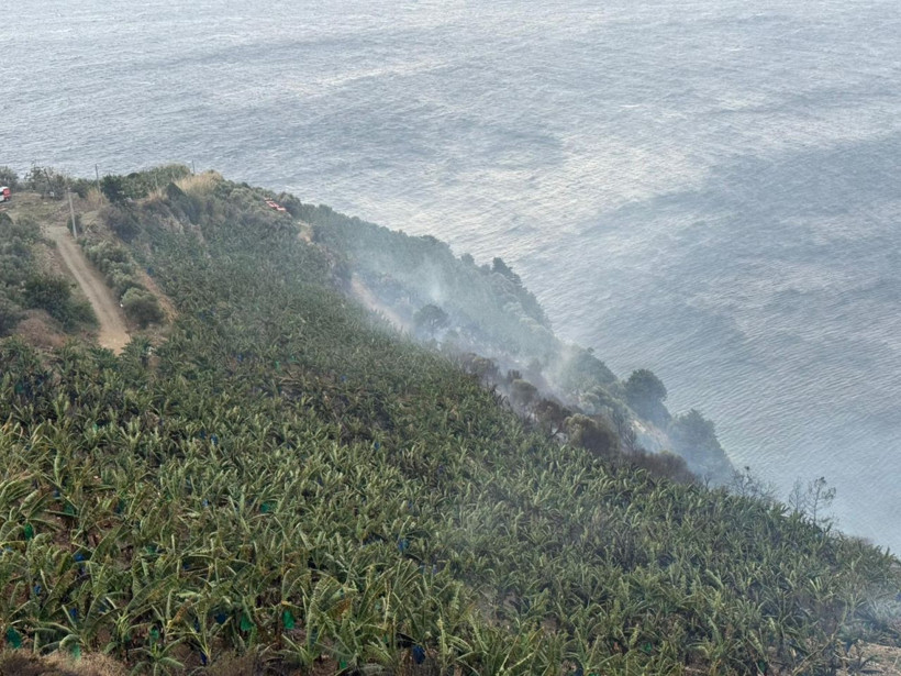 Antalya'da yangın! Muz bahçesinde çıkan yangın söndürüldü - Resim: 2