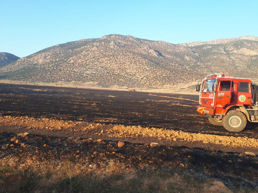 Antalya'da kargalar 200 dekarlık anız ve ekin yangınına sebep oldu - Resim: 2