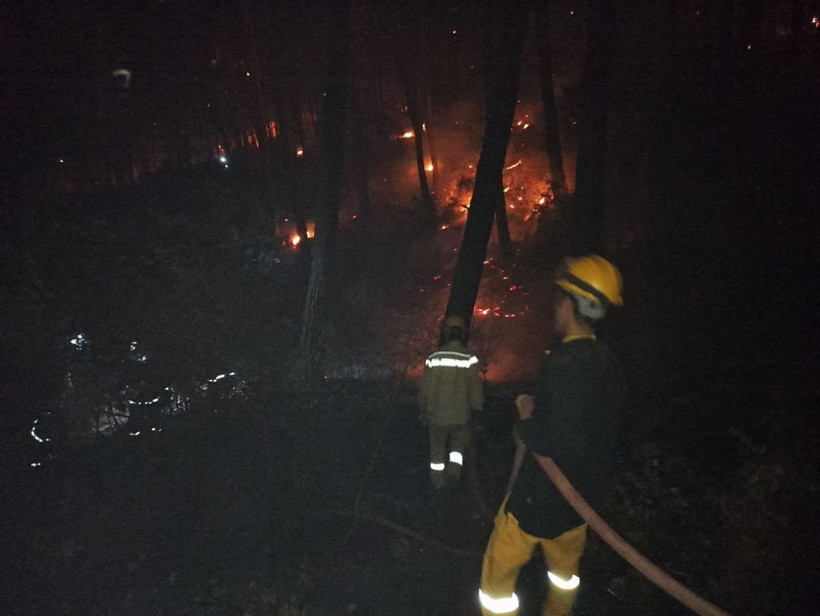 Muğla'da orman yangını çıktı! Yangın evleri tehdit etti uçaklar devreye girince... - Resim: 4