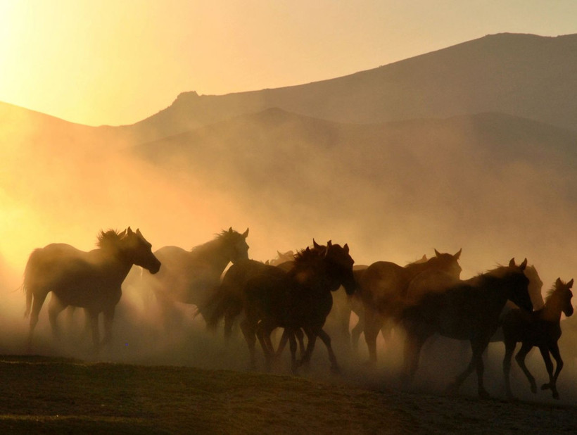 Reklam filmlerinin yeni mekanı Hürmetçi Sazlığı - Resim: 2