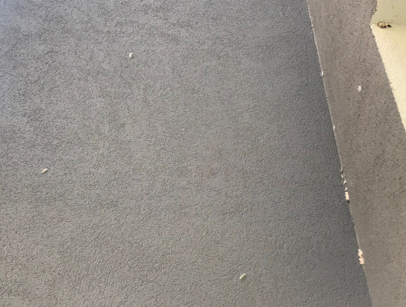 Mahalle sakinleri belediyeden yardım bekliyor! Kadıköy'ü tırtıl sardı - Resim: 2