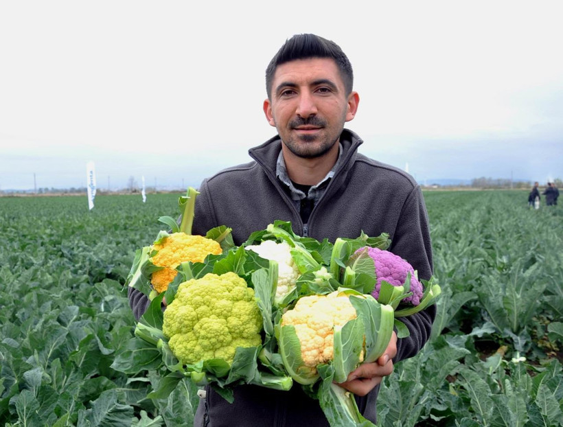 Renklendirici yok çocuklar bayılıyor! Samsun'da üretici talebe yetişemiyor - Resim: 2