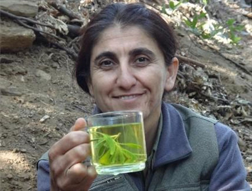 MİT, PKK'nın sözde İran sorumlusunu etkisiz hale getirdi - Resim: 2