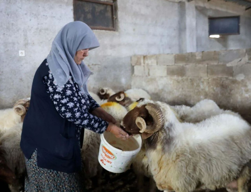 Gaziantep'te 'yapamazsın' diyenlere inat başardı! 3 taneyle başladı şimdi herkes onu konuşuyor - Resim: 3