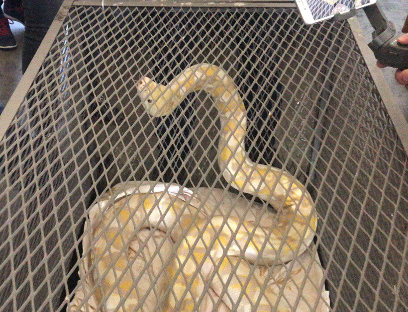 Araçtan çıkanlar ağızları açık bıraktı Türkiye'ye giriş yaparken yakalandı - Resim: 3