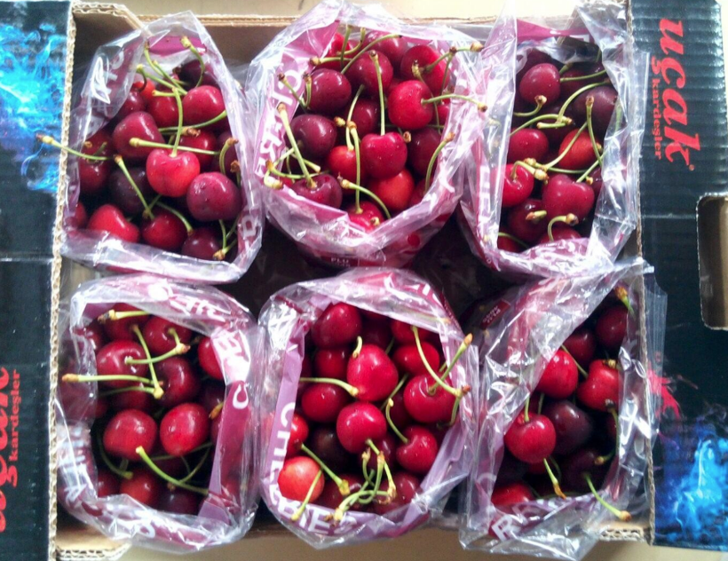 Türkiye tarihinde ilk kez vize alındı! Çin'e rekor sayıda gönderildi - Resim: 4