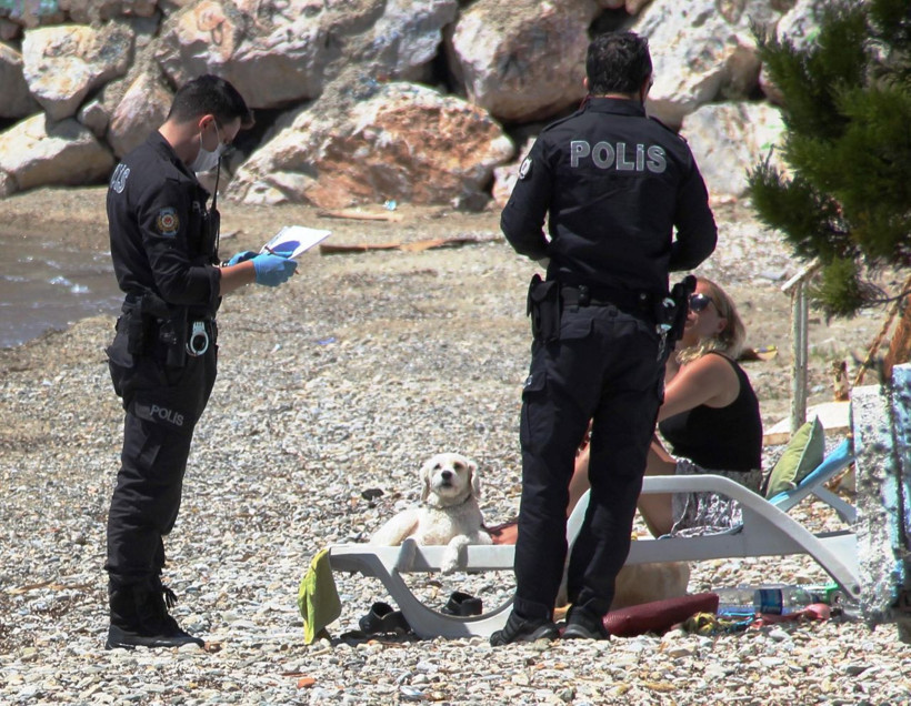 Muğla'da güneşi görenler kendini sokakta buldu 1 kişi güneşlenirken yakalandı - Resim: 4