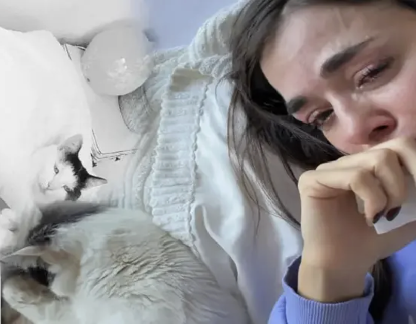 Bensu Soral'ın acı kaybı! Kedisi Sütlaç'ın ölümüyle yıkıldı - Resim: 4