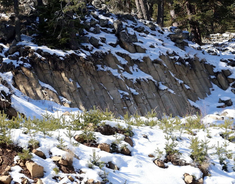 Bolu'da yeryüzüne çıktı 20 metreye yükseldi gören şaştı kaldı - Resim: 3