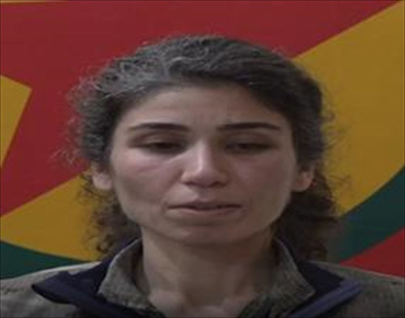 İsviçre'de doğdu PKK'da sözde yönetici oldu Süleymaniye'de MİT etkisiz hale getirildi - Resim: 2