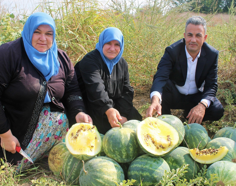 Bu karpuzlar bildiğiniz gibi değil içi sapsarı tohumları ise Osmanlı'dan kalma - Resim: 1