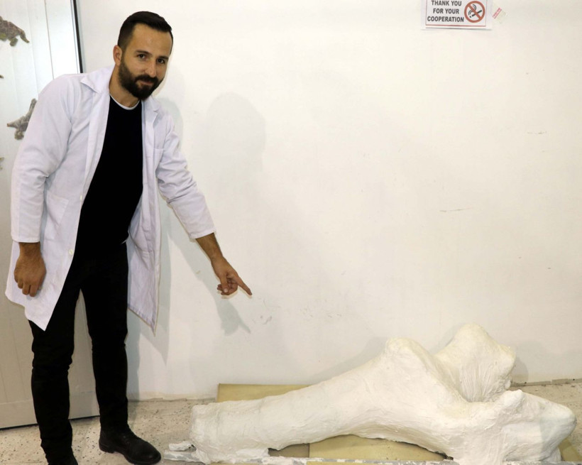 Kayseri'de veteriner yamaçta farketti yurt dışından bilim insanları geliyor - Resim: 1