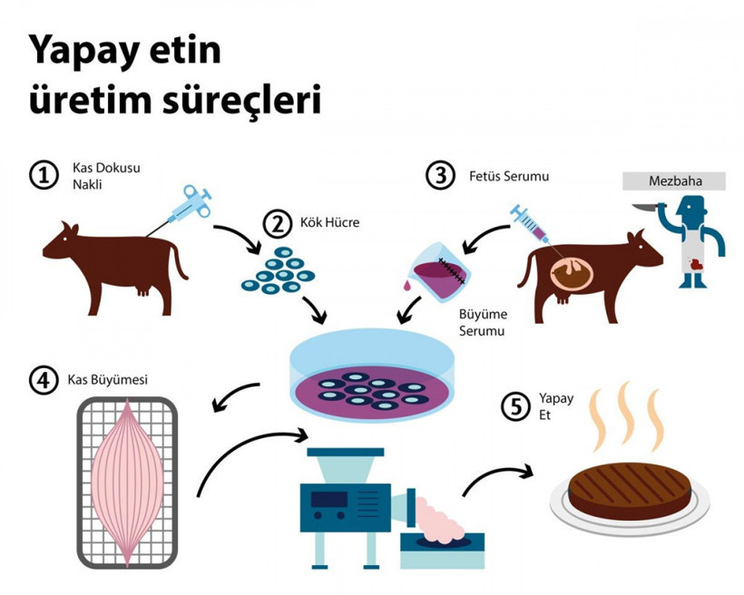 Yapay et bu yıl sofralarımıza gelecek! - Resim: 2