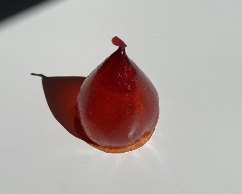 Üniversite öğrencisi Zümra Çetinler'den plastik formülü! Çözünüyor ve yeniyor - Resim: 4