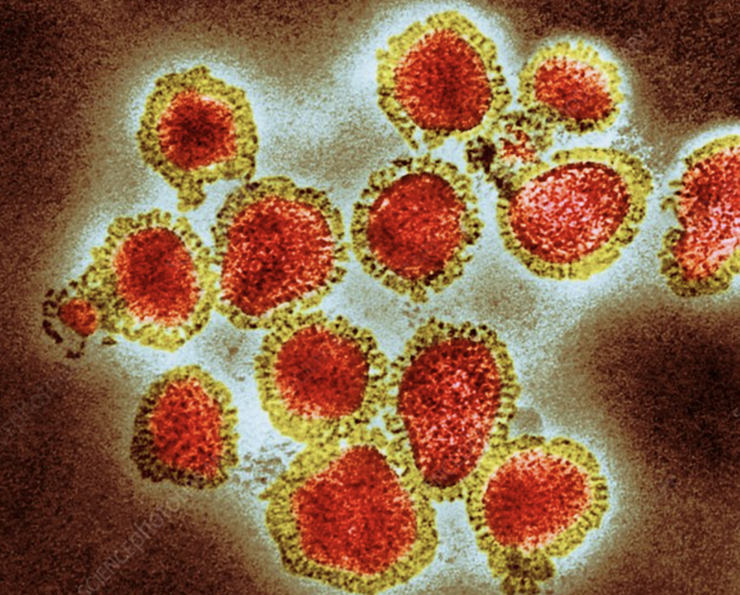 Avrupa'dan sonra Türkiye'de tehdit altında! Ölümlere neden oluyor... - Resim: 2