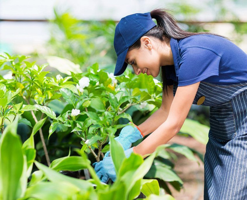 Bu işi yapması için 189 bin lira verecekler Yok artık dedirten iş - Resim: 4