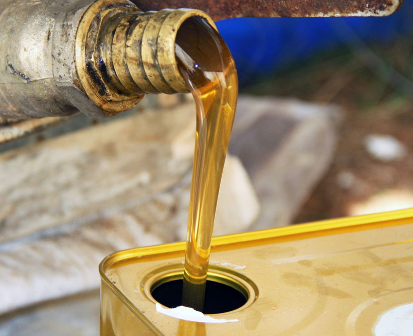 Yangınlar, kuraklık en özel balda üretimi bitirdi! Çam balı bu yıl yok! - Resim: 2