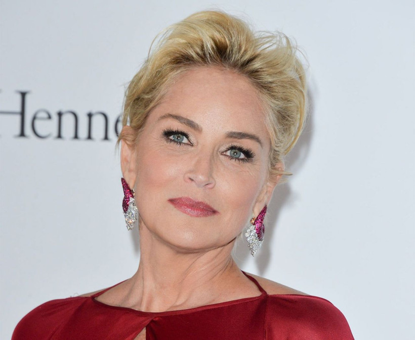 Sharon Stone yanlış teşhis kurbanı! Tümörle başı belada - Resim: 2