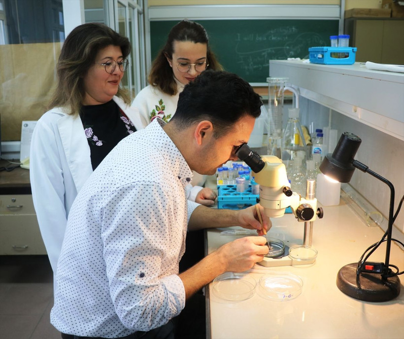 Çanakkale Gökçeada'nın tatlı sularında 4 yeni sucul salyangoz türü keşfedildi - Resim: 3