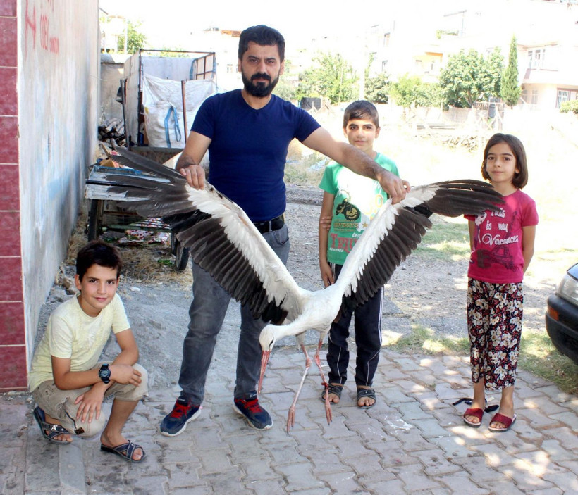 Mahalleli ayağı kopan leyleğin yardımına koştu - Resim: 4