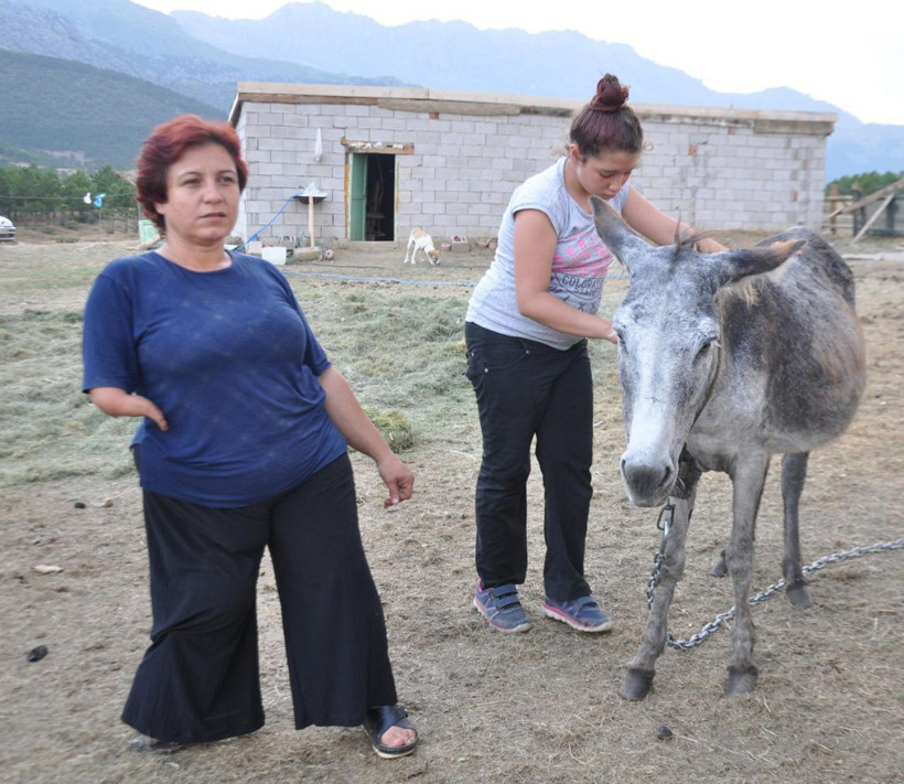 Kanser hastası eşine içirdi eşi iyileşti çiftliğini kurdu Türkiye'nin her yerinden talep var - Resim: 2