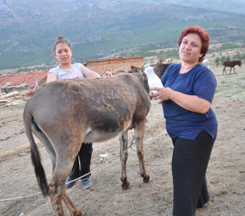Kanser hastası eşine içirdi eşi iyileşti çiftliğini kurdu Türkiye'nin her yerinden talep var - Resim: 3