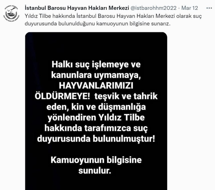 Yıldız Tilbe 'zehirli et verin, hepsi gebersin' diye yazdı kafası iyi iddiası geldi - Resim: 4