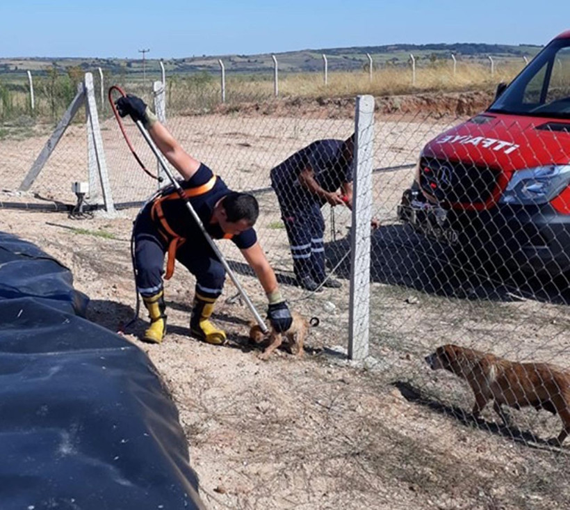 Edirne'de köpek yavrusuyla atık havuzuna düştü! Herkes seferber oldu - Resim: 4