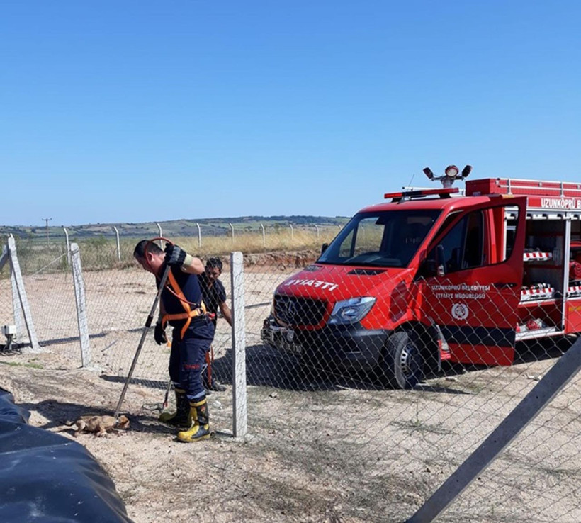 Edirne'de köpek yavrusuyla atık havuzuna düştü! Herkes seferber oldu - Resim: 1