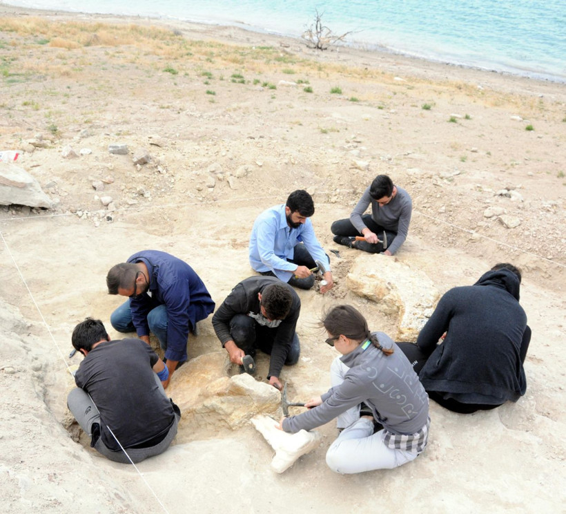 Kayseri'de keçi otlatan çoban buldu bölge kazıldı çıkanlar herkesi şaşırttı - Resim: 2