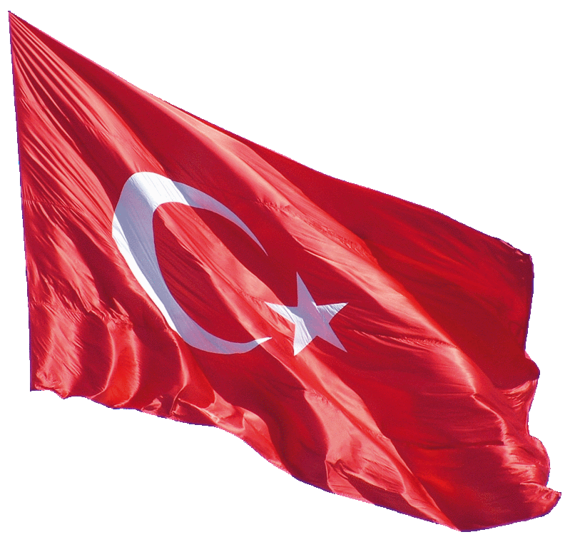 Türkiye'yi uçuran dev anket sonucu - Resim: 3