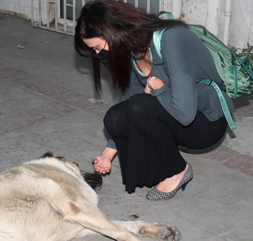 Nehir Erdoğan 2 yıl sonra döndü! Sokağa çıkma yasağı bitince bakın ne yapacak - Resim: 3
