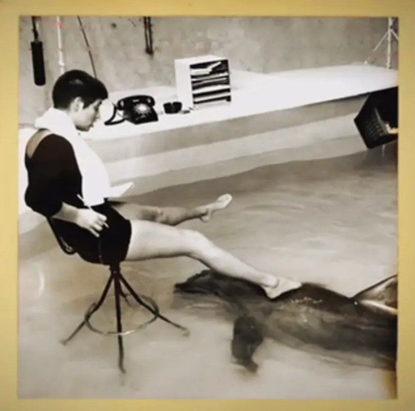 'NASA'da çalışırken araştırdığım yunusla cinsel ilişkiye girdim' Bilim kadını şok etti - Resim: 2