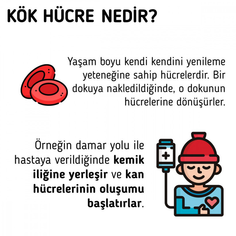Kök hücre nedir kök hücre bağışı kaç yaşında nasıl yapılır yurt dışına da gidiyor - Resim: 1