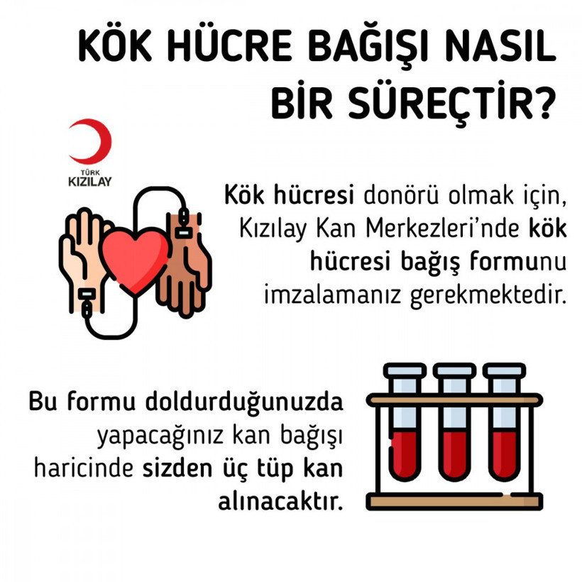 Kök hücre nedir kök hücre bağışı kaç yaşında nasıl yapılır yurt dışına da gidiyor - Resim: 4