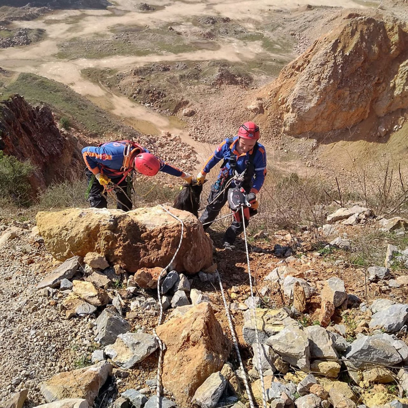 Bursa'da uçuruma düşen keçiyi AFAD kurtardı - Resim: 4
