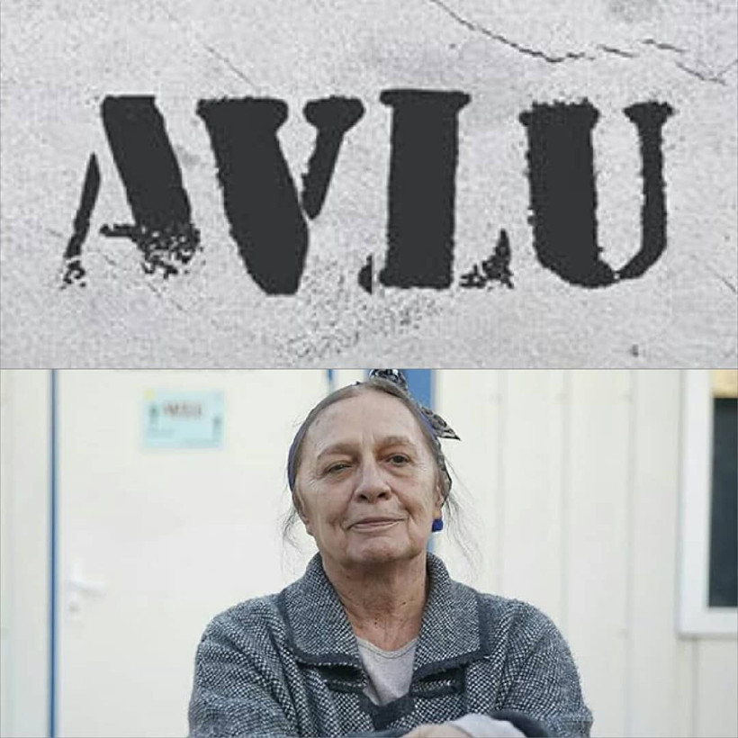 Avlu dizisi Safiye Özdemir kimdir? Efsane diziden transfer oldu - Resim: 3