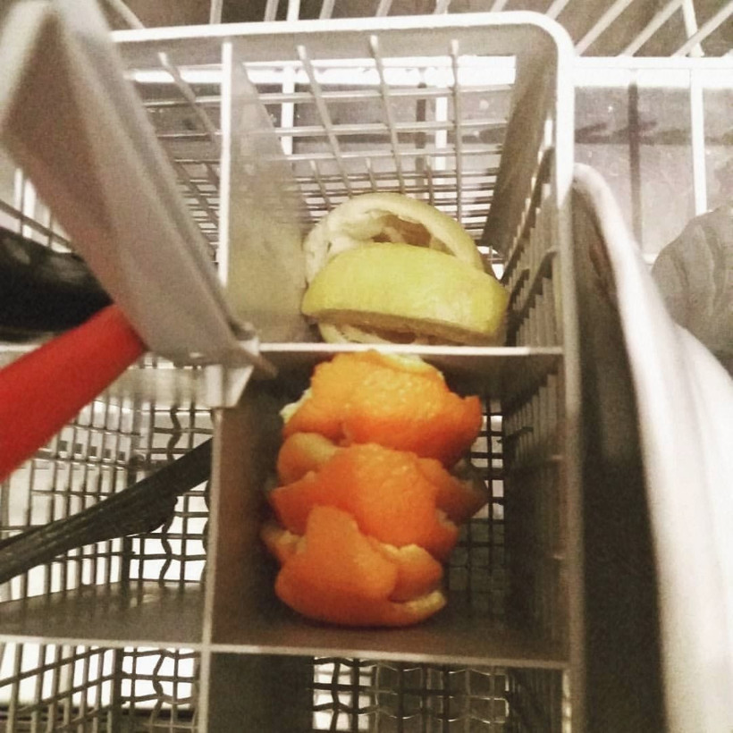 Yurt dışından talep yağıyor! Kendisinin kilosu 1 tl kabuğu 6 tl - Resim: 4