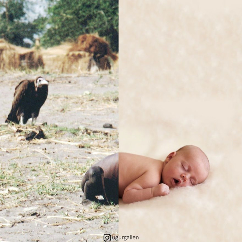 Dünyadaki adaletsizliği tek kareye sığdıran Türk - Resim: 2