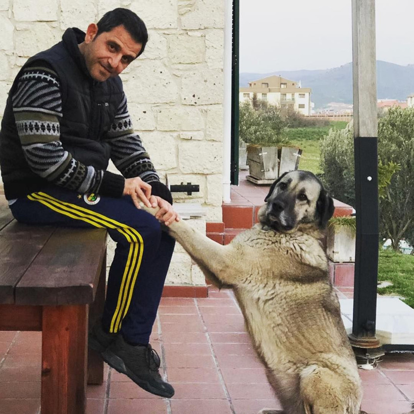 Fatih Portakal'dan YSK'ya sert tepki: nereden baksan.... - Resim: 2