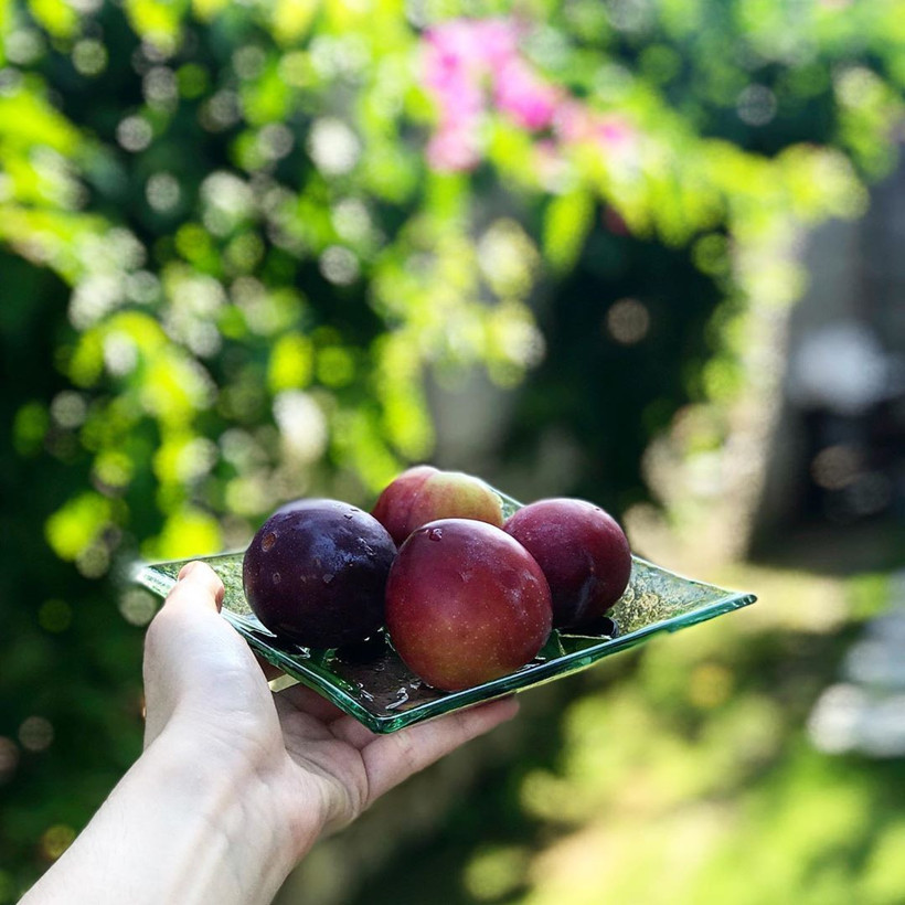 Erik yedikten sonra dişlerinizi fırçalarsanız hiç iyi şeyler olmuyor - Resim: 2