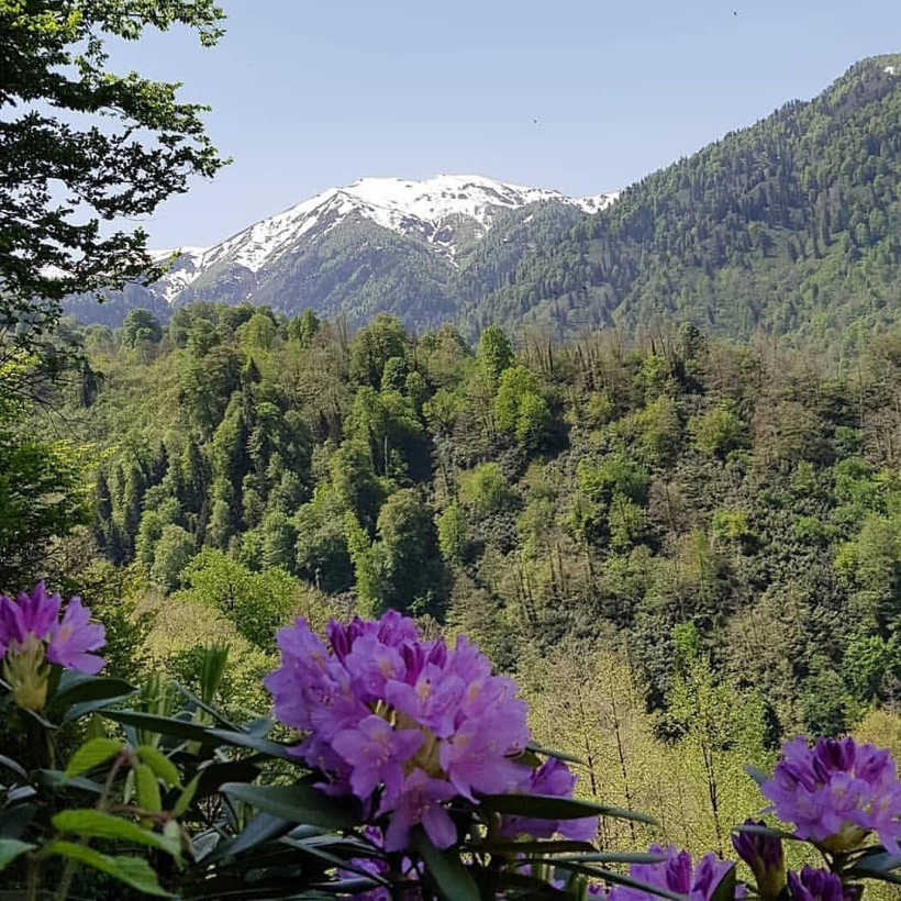 Şifa niyetine tüketiliyordu! Mucize besin için 'ölüm' uyarısı yapıldı - Resim: 4