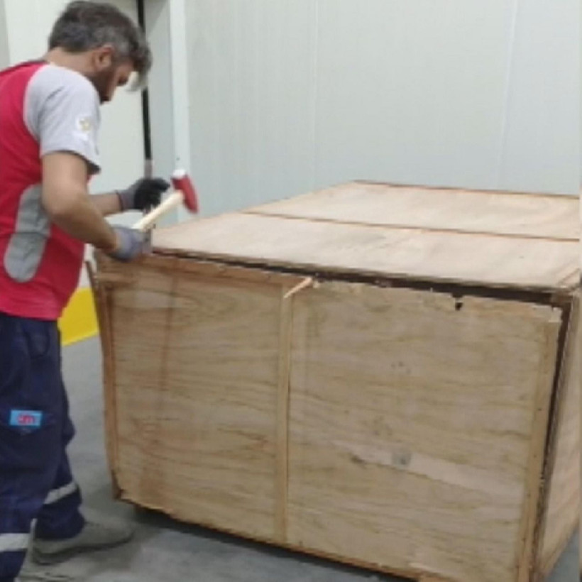 İstanbul Havalimanı'nda ortaya çıktı! Nesli tükenme tehlikesinde olan pangolin pulları servet değerinde - Resim: 1