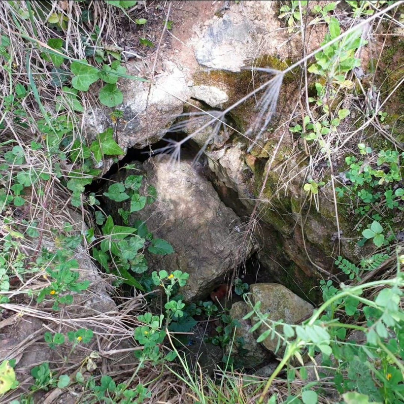 Sinop'ta gizemli tüneller arasına yenisi eklendi Kral Mitritad mezarına çıkıyor - Resim: 2