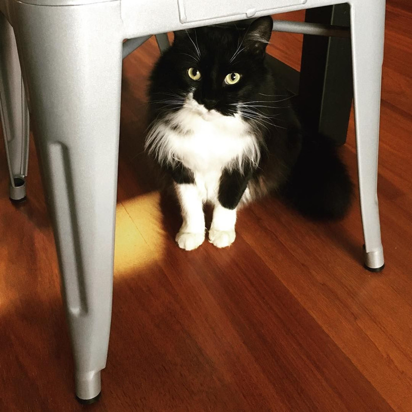 'Evde otururken yapılacak işler' diye araştırdı hayatı değişti! 190 bin TL kazandı - Resim: 4