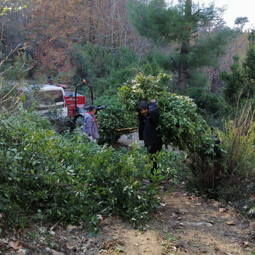 Aylık 25 bin TL kazanıyorlar paraya para demiyorlar! Antalya'dan Avrupa'ya satıyorlar: Ayağımızdan gelip alıyorlar - Resim: 4