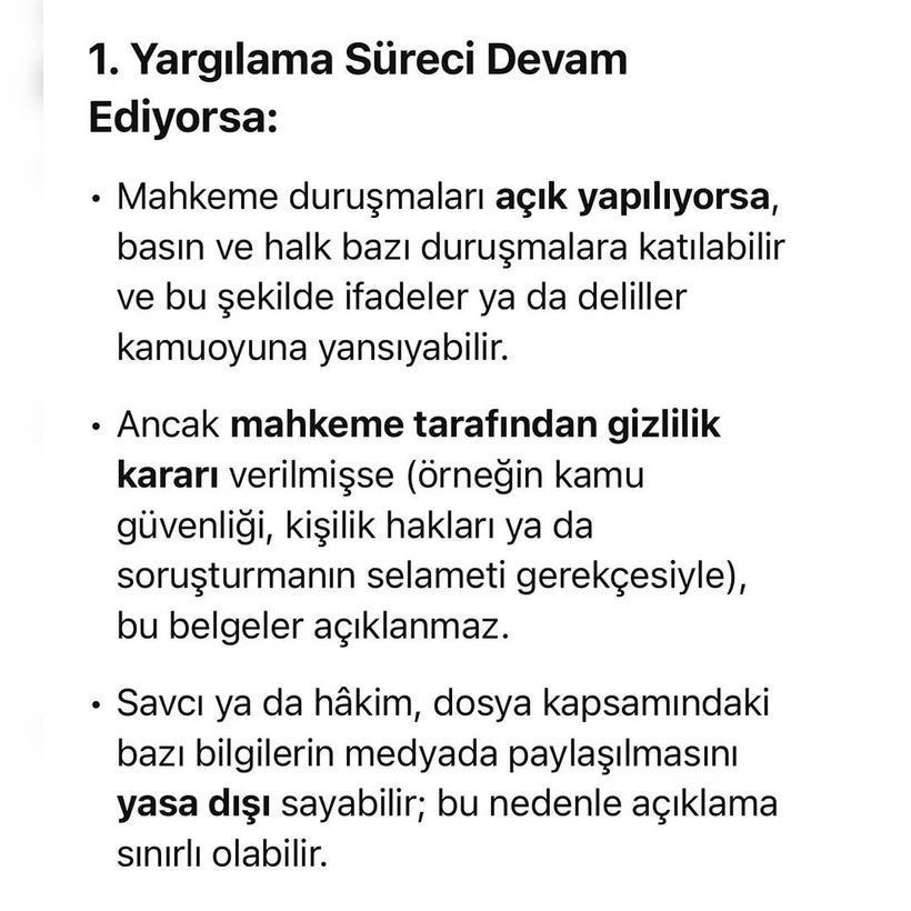 Deniz Uğur Gülener'den ChatGPT'li tepki: 'Devlet yanlısıyım' - Resim: 3