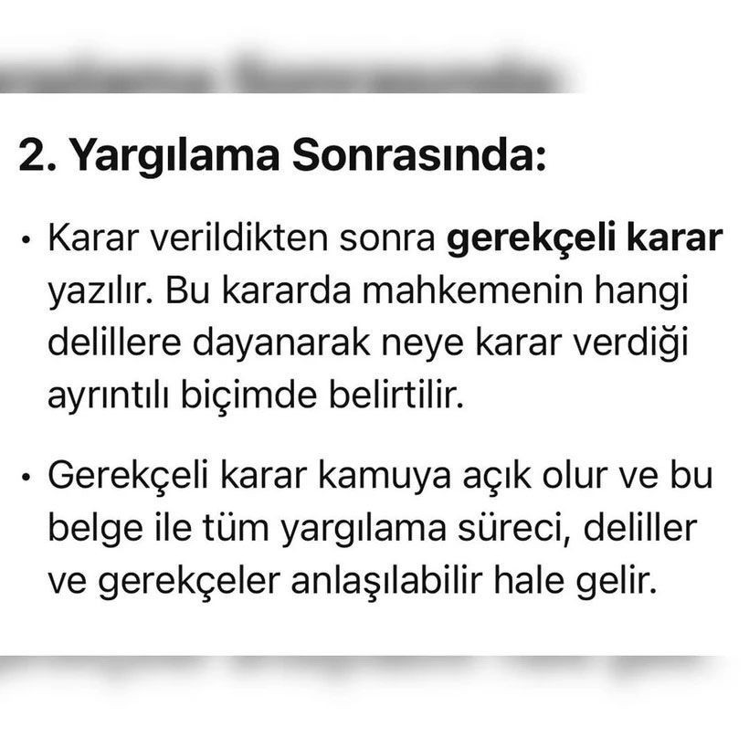 Deniz Uğur Gülener'den ChatGPT'li tepki: 'Devlet yanlısıyım' - Resim: 4