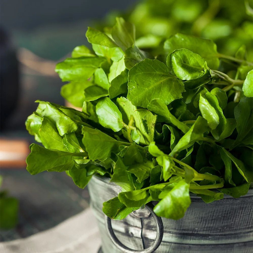 Ne ıspanak ne lahana! En faydalı yeşillik belli oldu - Resim: 3