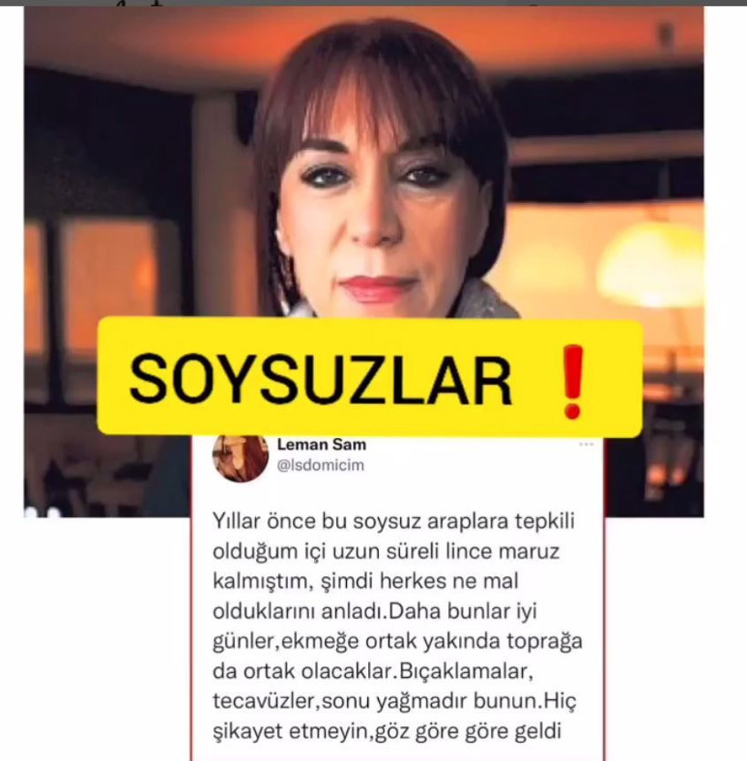 Leman Sam'ın 'soysuz Araplar' tweetine Özgür Demirtaş ve Cem Küçük'ten sert tepki - Resim: 1
